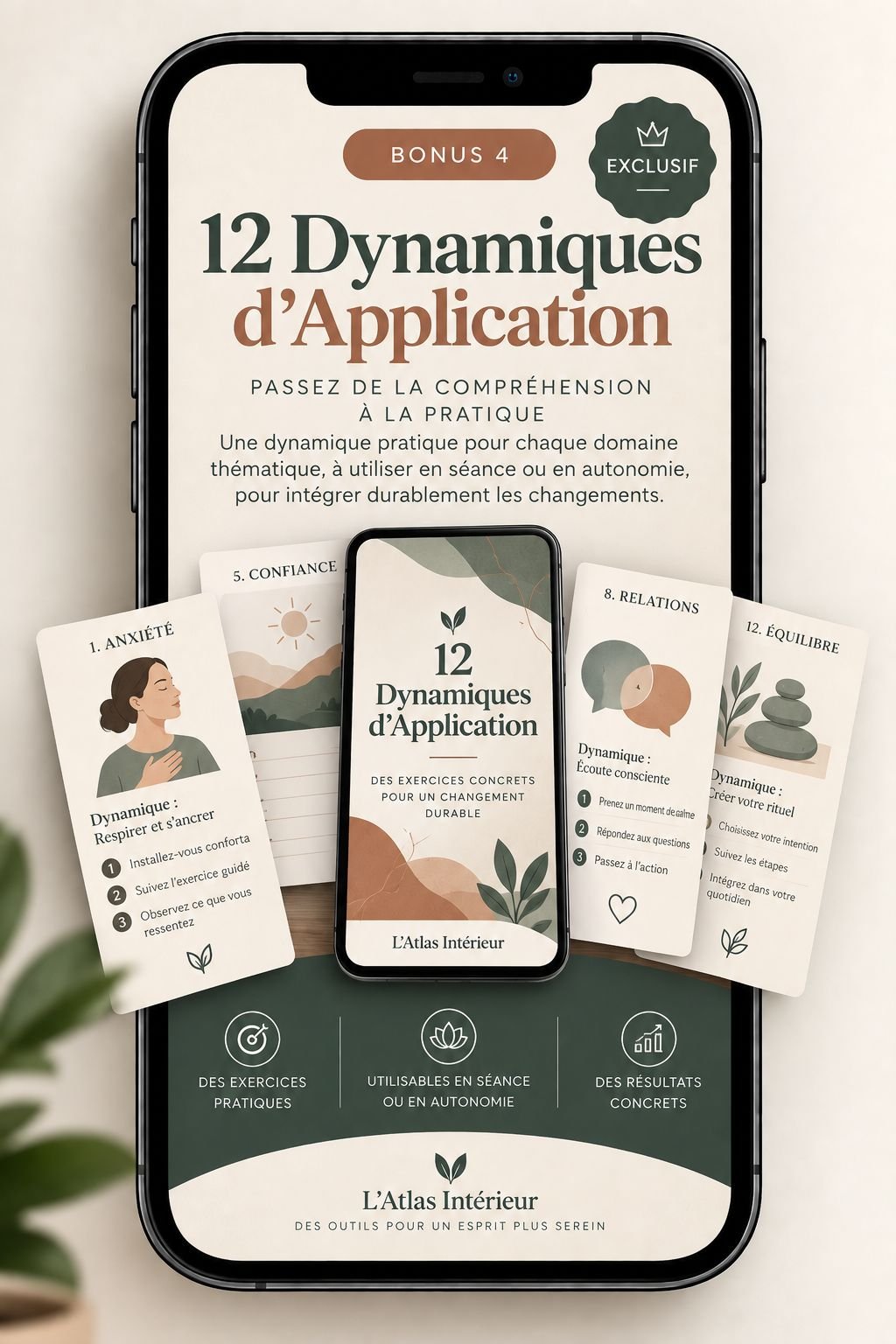 Bonus 4 — 12 Mises en Pratique